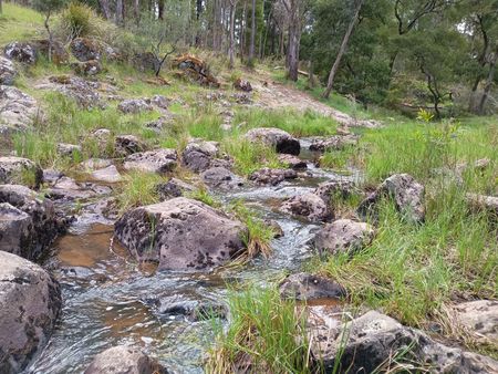 River rocks