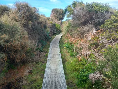 Boardwalk section of the Great Ocean Walk
