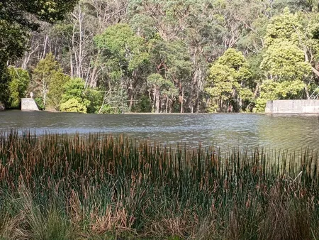 Over the water looking to the dam wall