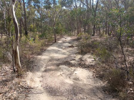 Trail start