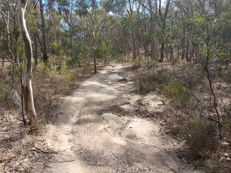 Trail start