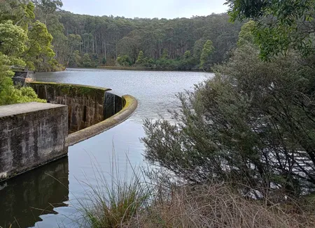 Dam wall