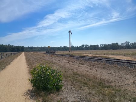 Muckleford trail