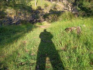 Werribee River Campground Nov 2024
