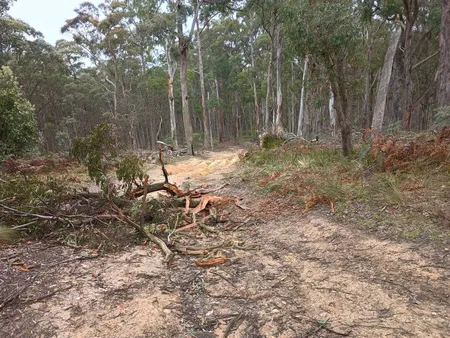 Rough track after a storm