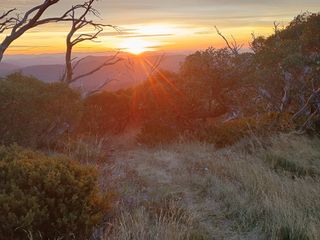 Hotham To Harrietville Via Bon Accord Spur