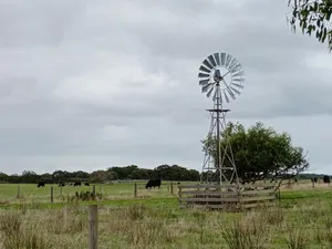 Windmill