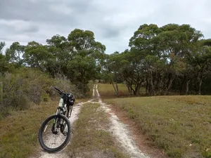 The Pinnacles Track