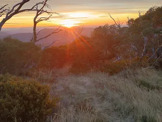 Hotham To Harrietville Via Bon Accord Spur